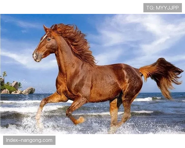 深度调查：意大利南部足球青训体系在2026年面临的挑战与机遇