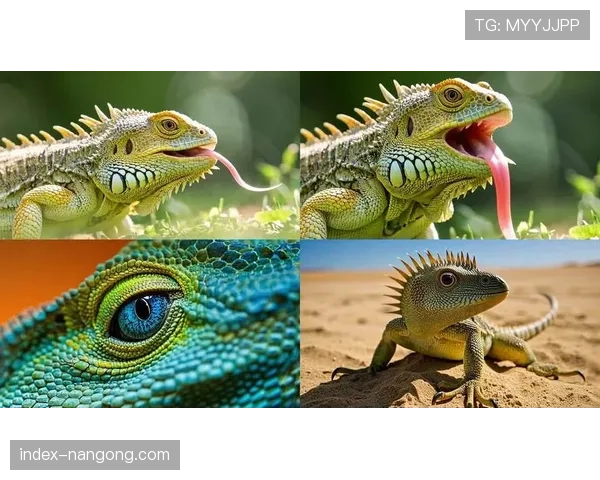 特写镜头：恩波利队长鼓励全队，试图稳住濒临崩溃的防线